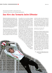 Das Hirn des Torwarts beim Elfmeter - Ruhr