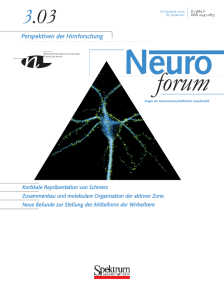 Neuroforum 3/03 - Neurowissenschaftliche Gesellschaft