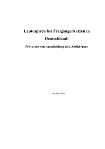 Pr&auml;valenz von Ausscheidung und Antik&ouml;rpern