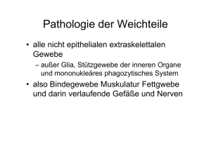 Pathologie der Weichteile - patho
