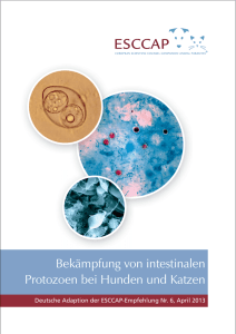 Bekämpfung von intestinalen Protozoen bei Hunden und