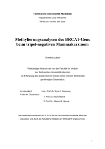 Methylierungsanalysen des BRCA1-Gens beim tripel