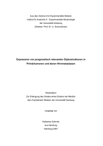 Expression von prognostisch relevanten Glykostrukturen in