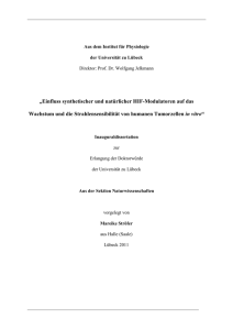 Dissertation Stroefer 17012011 pdf