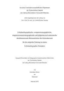 img - Elektronische Dissertationen der LMU München