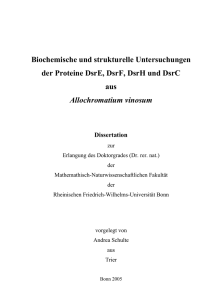 pdf-Dokument - Universität Bonn