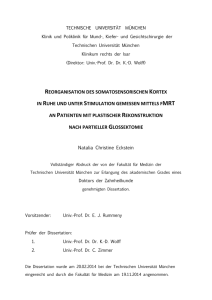 REORGANISATION DES SOMATOSENSORISCHEN KORTEX IN