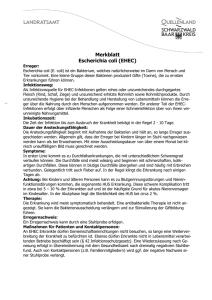 Merkblatt Escherichia coli (EHEC) - Landratsamt Schwarzwald
