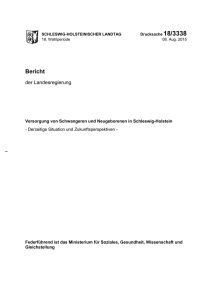 Bericht - Landesportal Schleswig Holstein