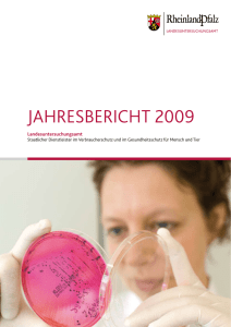 LUA Jahresbericht 2009 komplett