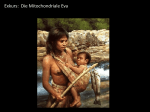 mitochondriale Eva