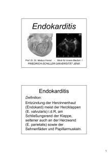 Endokarditis - Klinik für Innere Medizin I