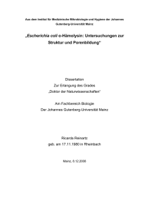 „Escherichia coli α-Hämolysin: Untersuchungen zur Struktur und