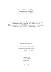 In-vitro- und In-vivo-Untersuchungen einer Kombinationstherapie