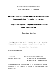 Kritische Analyse des Verfahrens zur Erweiterung des