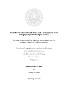 Die Rolle der autoreaktiven B-Zellen und Autoantikörper in der