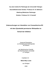 Untersuchungen zur Interaktion von Coxsackievirus B3 mit dem
