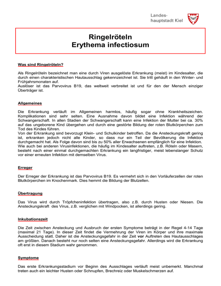 Informationsblatt Ringelr teln Informationsblatt Ringelr teln