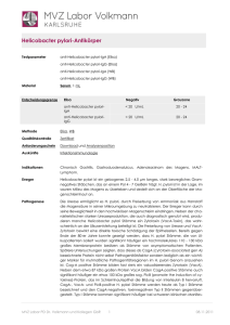 Helicobacter pylori-Antikörper - MVZ Labor PD Dr. Volkmann und