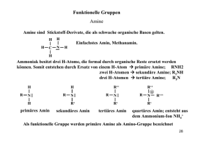 Funktionelle Gruppen Amine