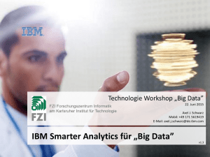 IBM Smarter Analytics für Big Data