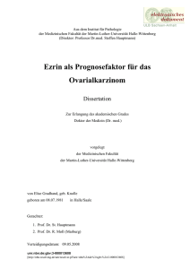 PDF-Format - Martin-Luther-Universität Halle