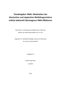 Dokumentvorlage für Dissertationen u.ä.