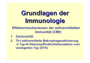 18. Effektormechanismen der zellvermittelten Immunität (CMI)