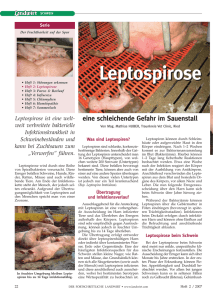 Leptospirose Leptospirose