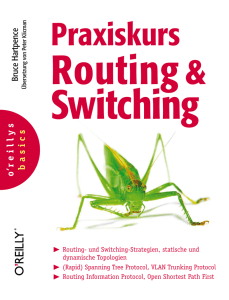 Praxiskurs Routing und Switching