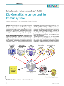 Die Grenzfläche Lunge und ihr Immunsystem - Ruhr