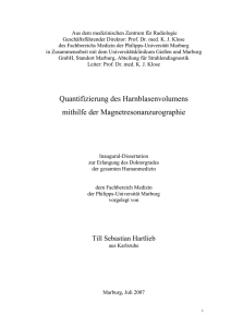 Quantifizierung des Harnblasenvolumens mithilfe der