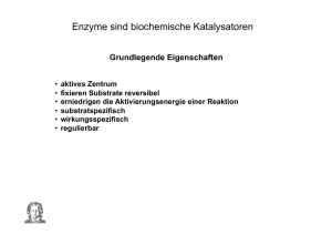 Enzyme sind biochemische Katalysatoren