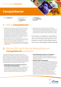 Campylobacter - EFSA