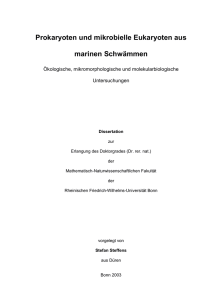 Prokaryoten und mikrobielle Eukaryoten aus marinen Schwämmen