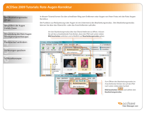 ACDSee 2009 Tutorials: Rote-Augen-Korrektur