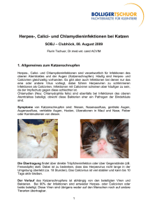 Herpes-, Calici- und Chlamydieninfektionen bei