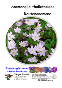 Anemonella Bildliste 2008-9