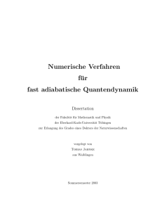 Numerische Verfahren für fast adiabatische Quantendynamik