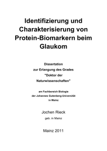 Identifizierung und Charakterisierung von Protein