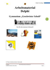 Arbeitsmaterial Delphi