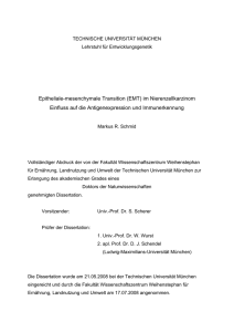 Publishers Version - PuSH - Publikationsserver des Helmholtz