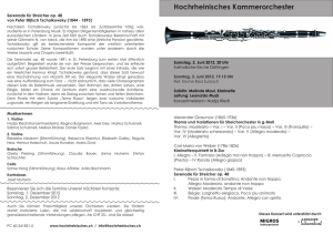Konzertprogramm PDF - Hochrheinisches Kammerorchester