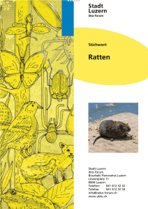 Ratten - Umweltberatung Luzern