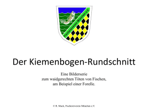 Der Kiemenbogen-Rundschnitt - Fischereiverein München eV