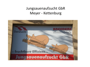 Kokkenborg JS Aufzucht Meyer - Kettenburg