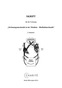 Skript zur Vorlesung