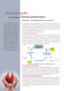 Homocystein - Einhorn Apotheke