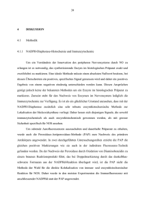 39 4 DISKUSSION 4.1 Methodik 4.1.1 NADPH