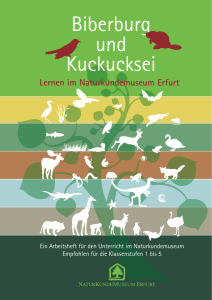 Biberburg und Kuckucksei - Naturkundemuseum Erfurt